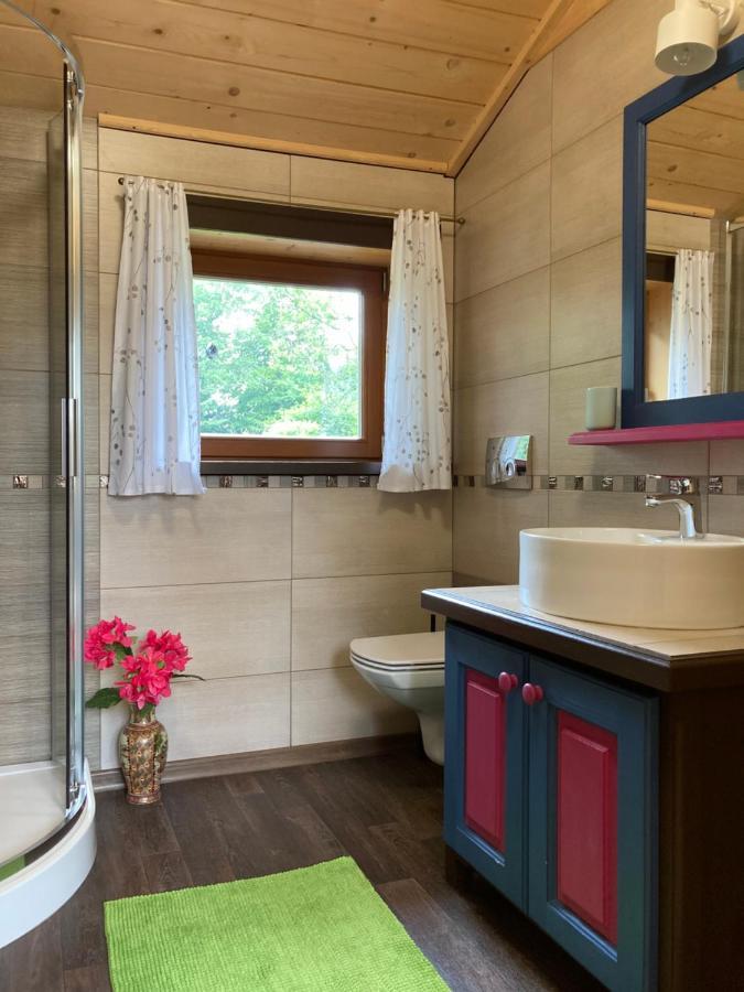 Casa Mountana Apartment Koscielisko Bagian luar foto